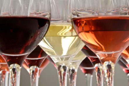 Conceptos basicos saber vinos Javier Campo SoplosViajeros